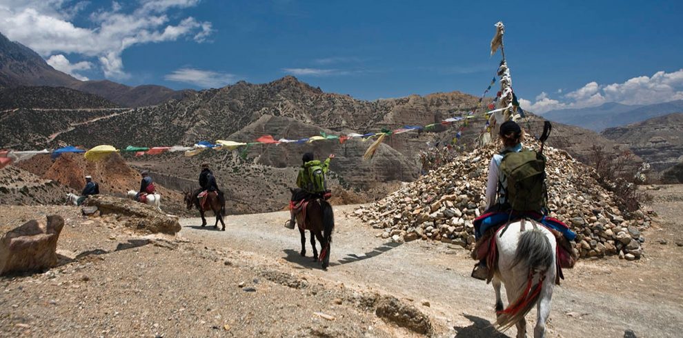 mustang-tk-adventure